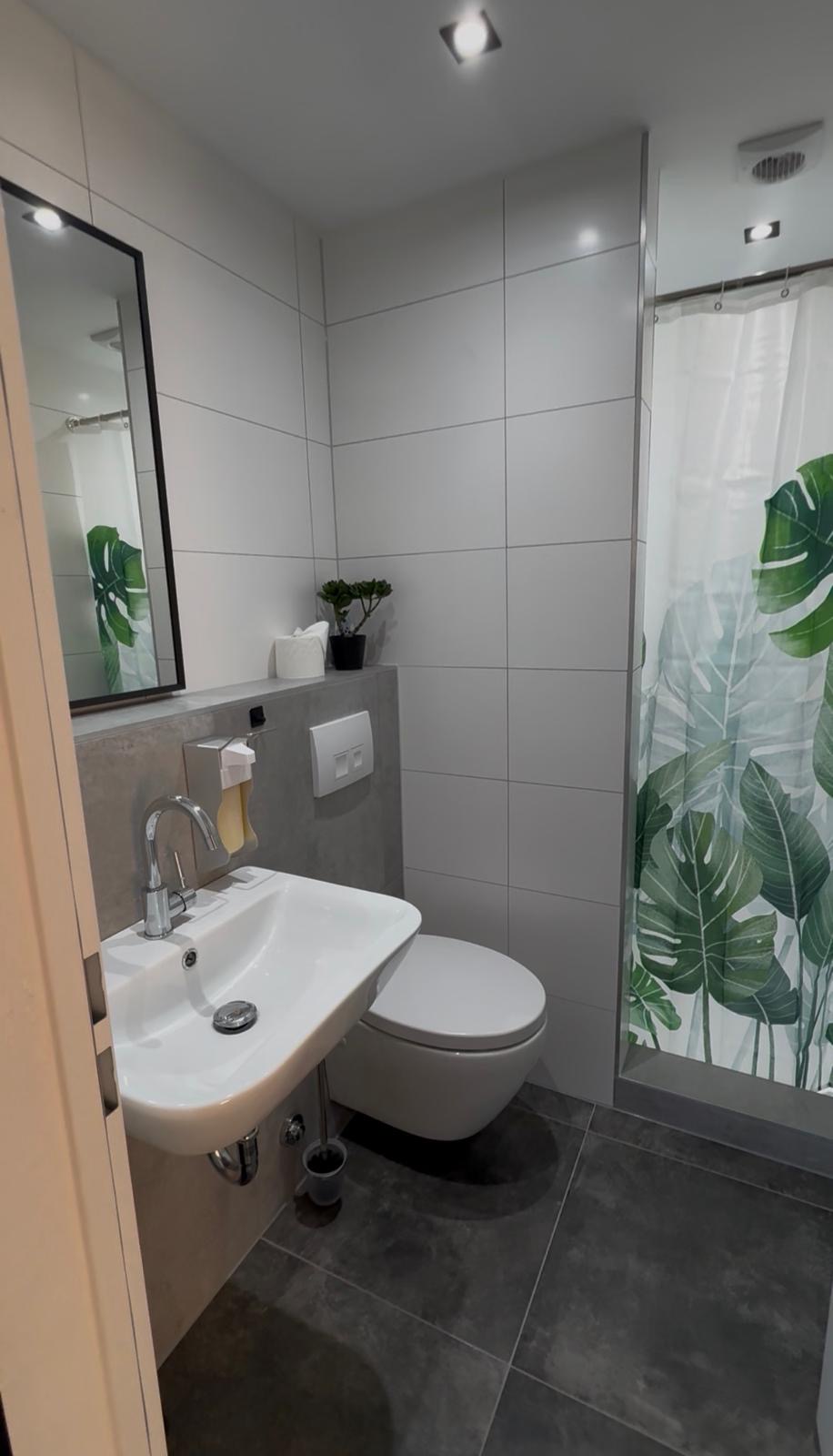 Badezimmer mit Dusche, WC und Waschbecken